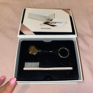 Pandora cleaning kit
